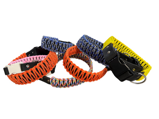 Hundhalsband, ej justerbart